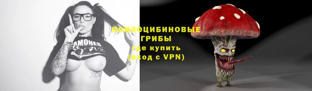 шишки Навашино