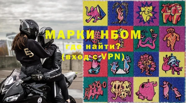 гидра Надым