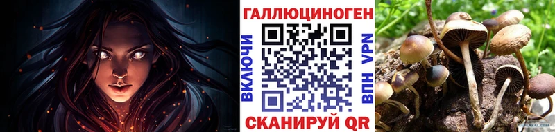 где найти   Сольвычегодск  Галлюциногенные грибы Psilocybe 
